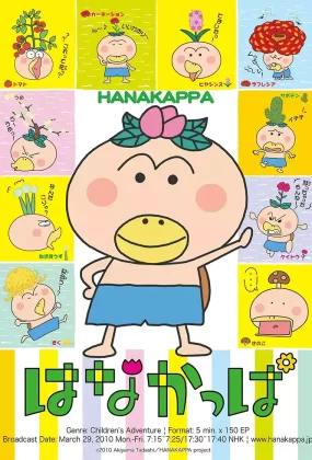 粤语动画片花样河童全40集 HANAKAPPA粤语版