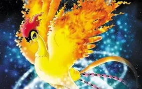 粤语动画片火之鸟全13集 火の鳥粤语版